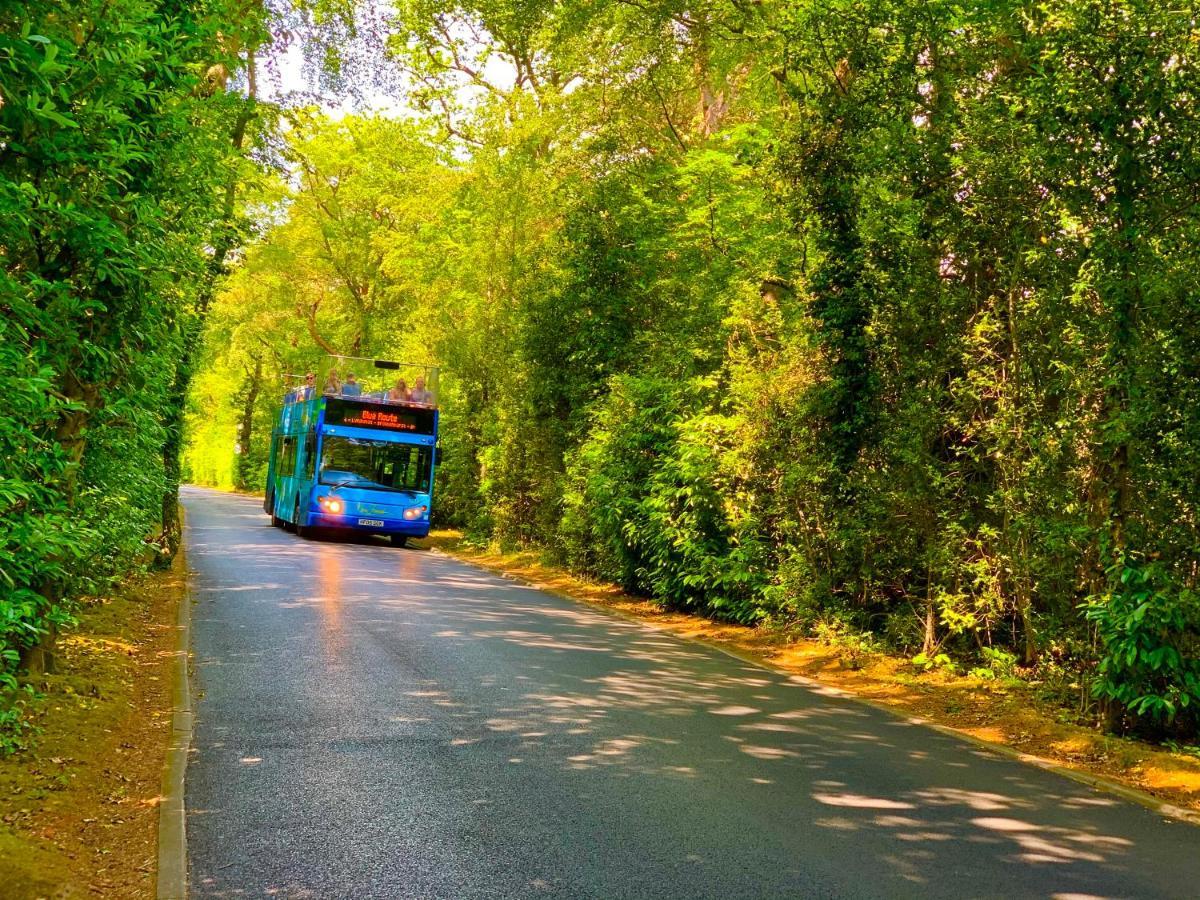 Forest Haven Sway Ngoại thất bức ảnh