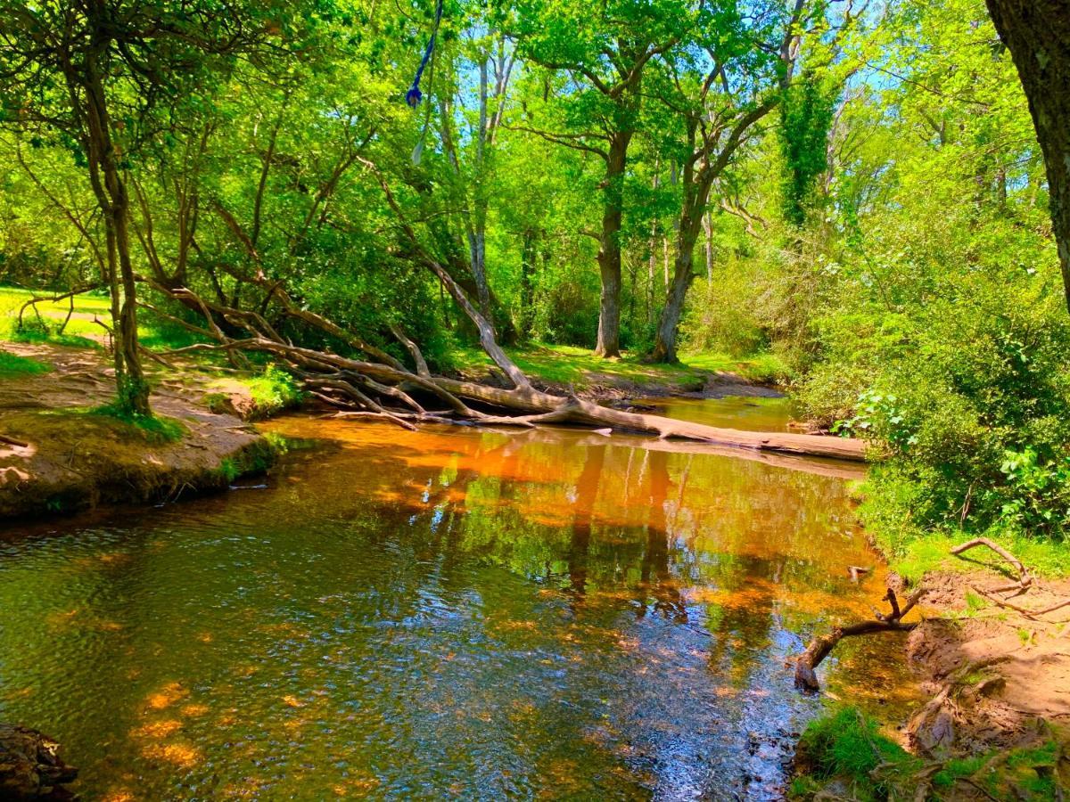 Forest Haven Sway Ngoại thất bức ảnh