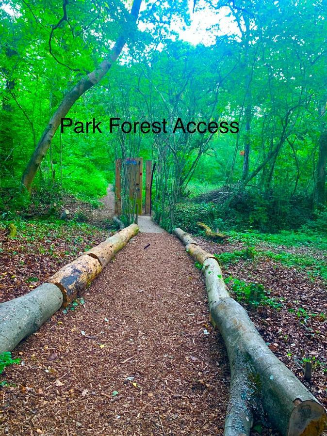 Forest Haven Sway Ngoại thất bức ảnh