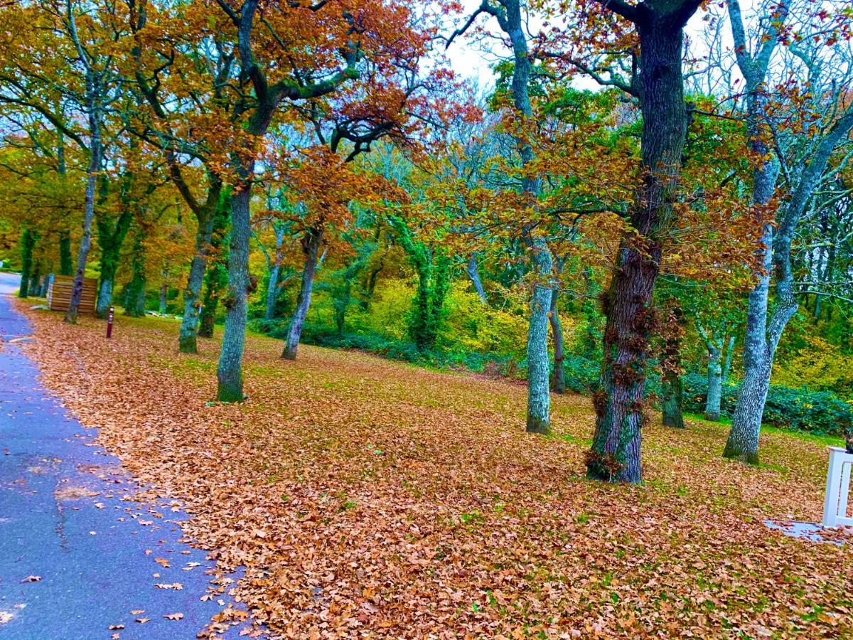 Forest Haven Sway Ngoại thất bức ảnh