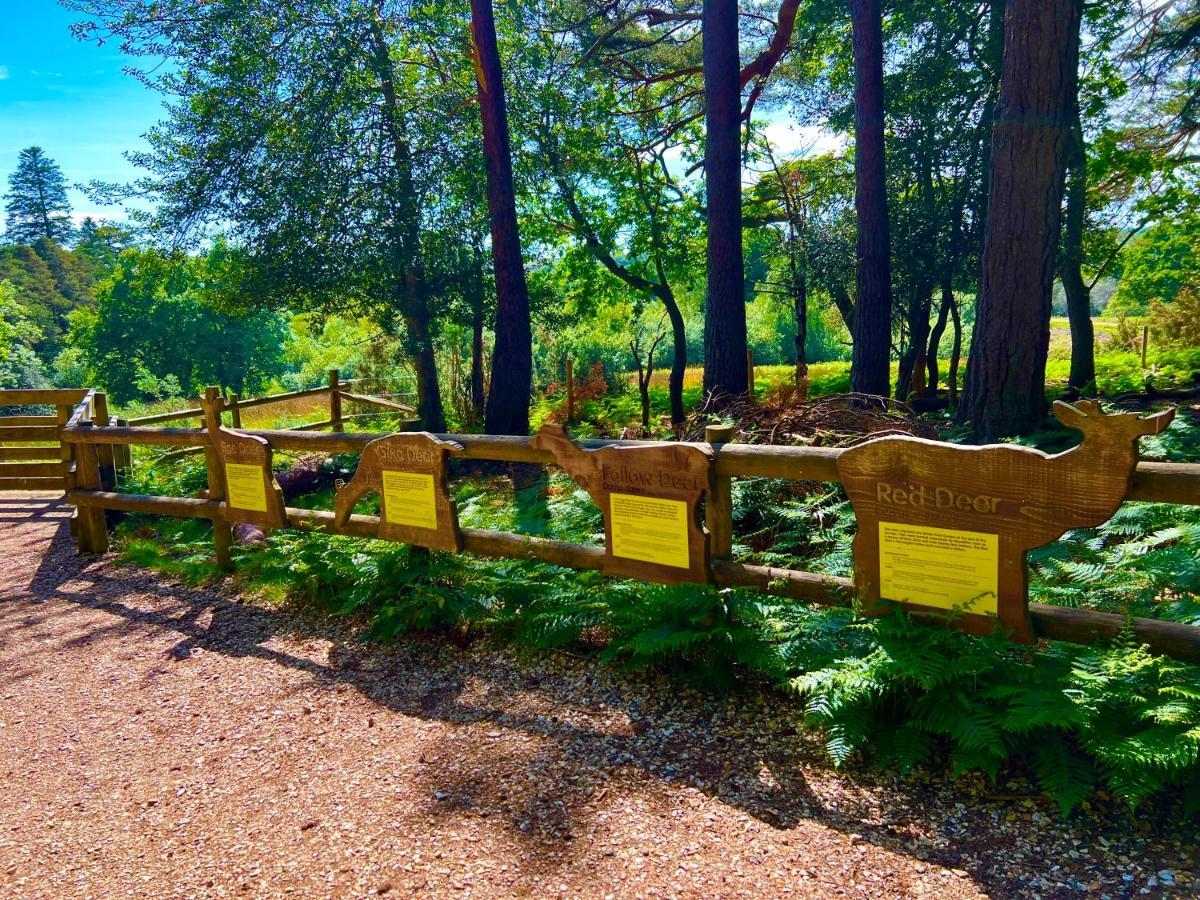 Forest Haven Sway Ngoại thất bức ảnh